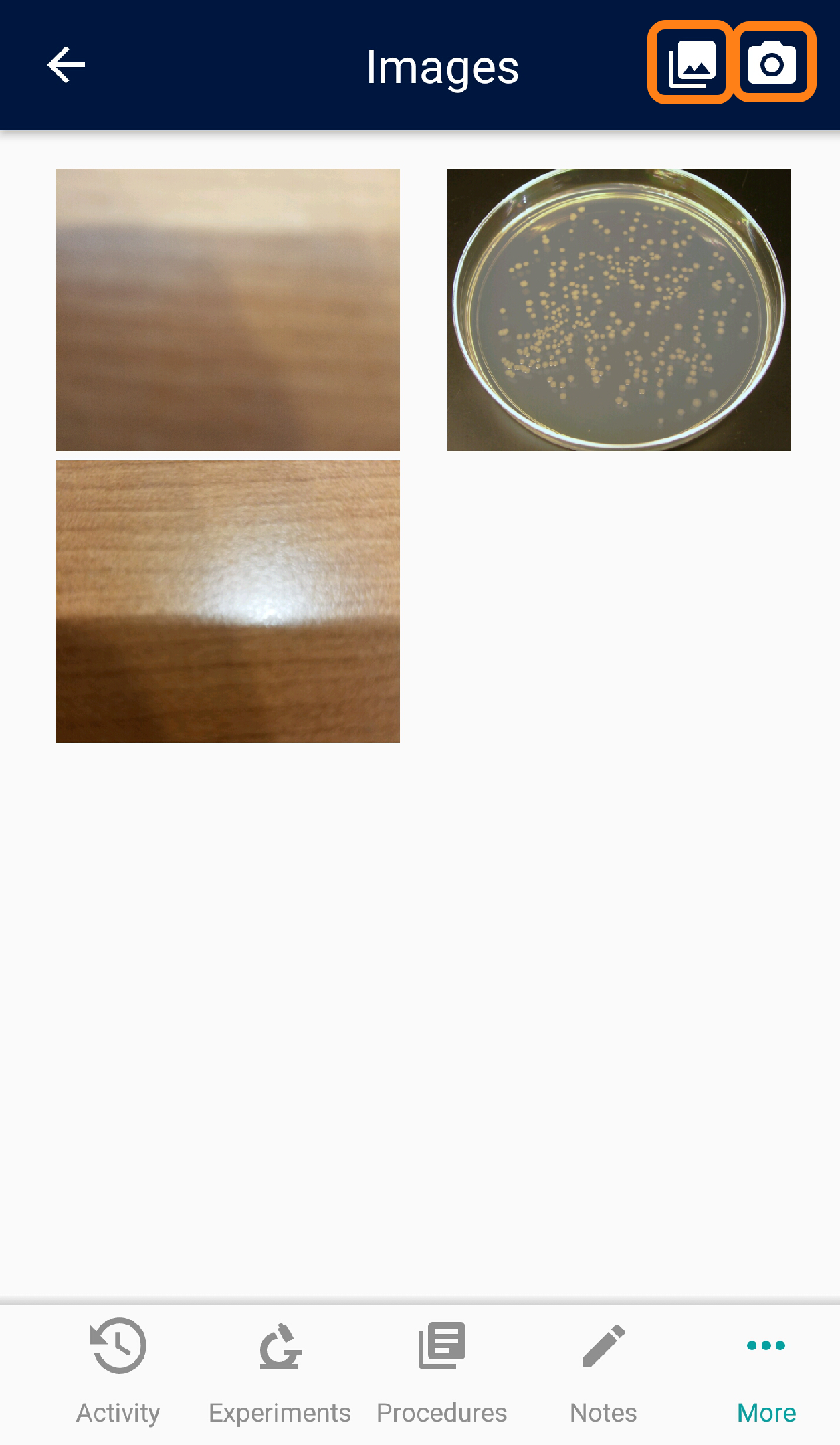 NewItem693.png