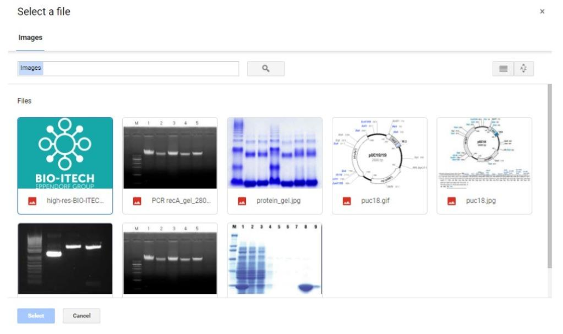 Connect Google Drive to eLABJournal for File Management - Step 5.png